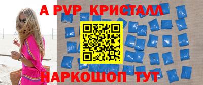 твердый Кингисепп