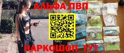 твердый Кингисепп