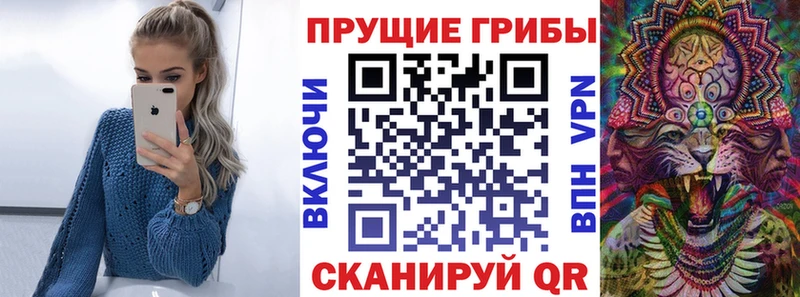 Псилоцибиновые грибы GOLDEN TEACHER  Советск 