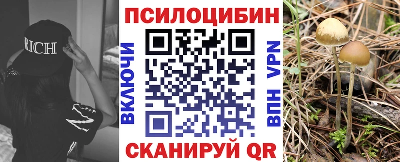 OMG ссылка  Советск  Галлюциногенные грибы Psilocybine cubensis 