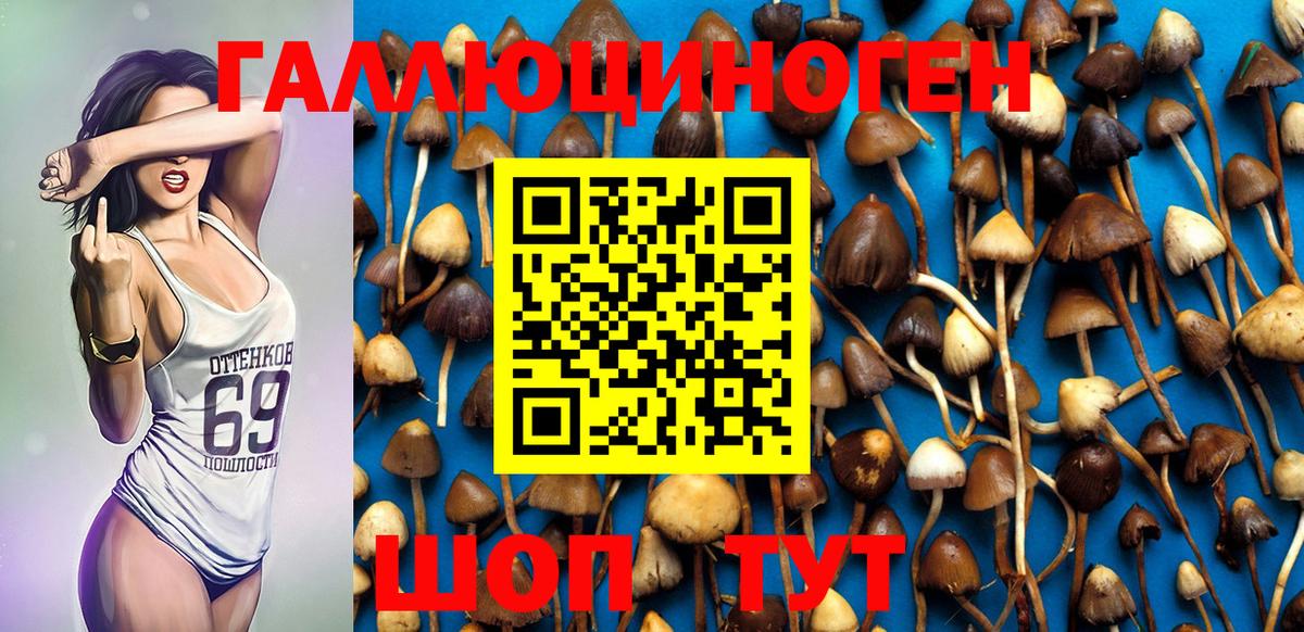 Псилоцибиновые грибы мицелий Советск
