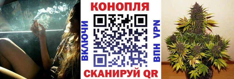 закладка Советск Бошки марихуана ГИДРОПОН